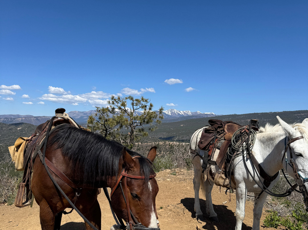 Over the Hill Outfitters-杜兰戈必去景点