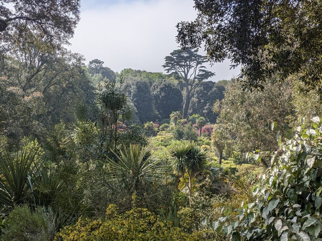 Abbotsbury Subtropical Gardens景点图片