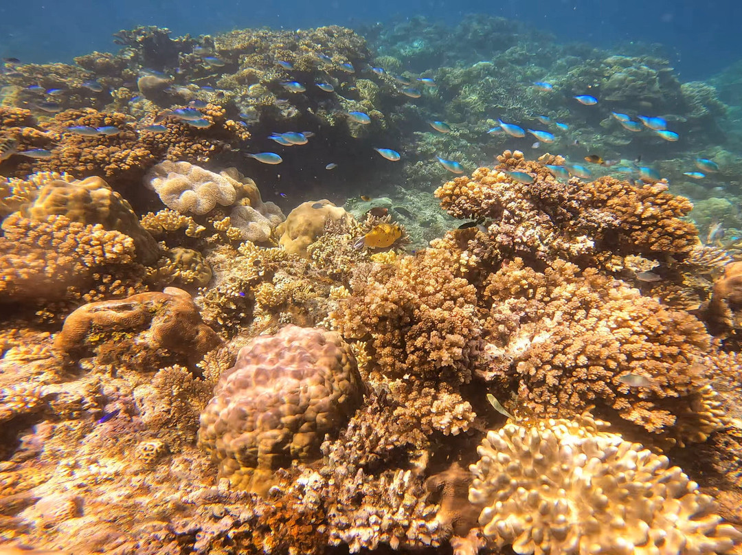 Ocean Ventures Fiji景点图片