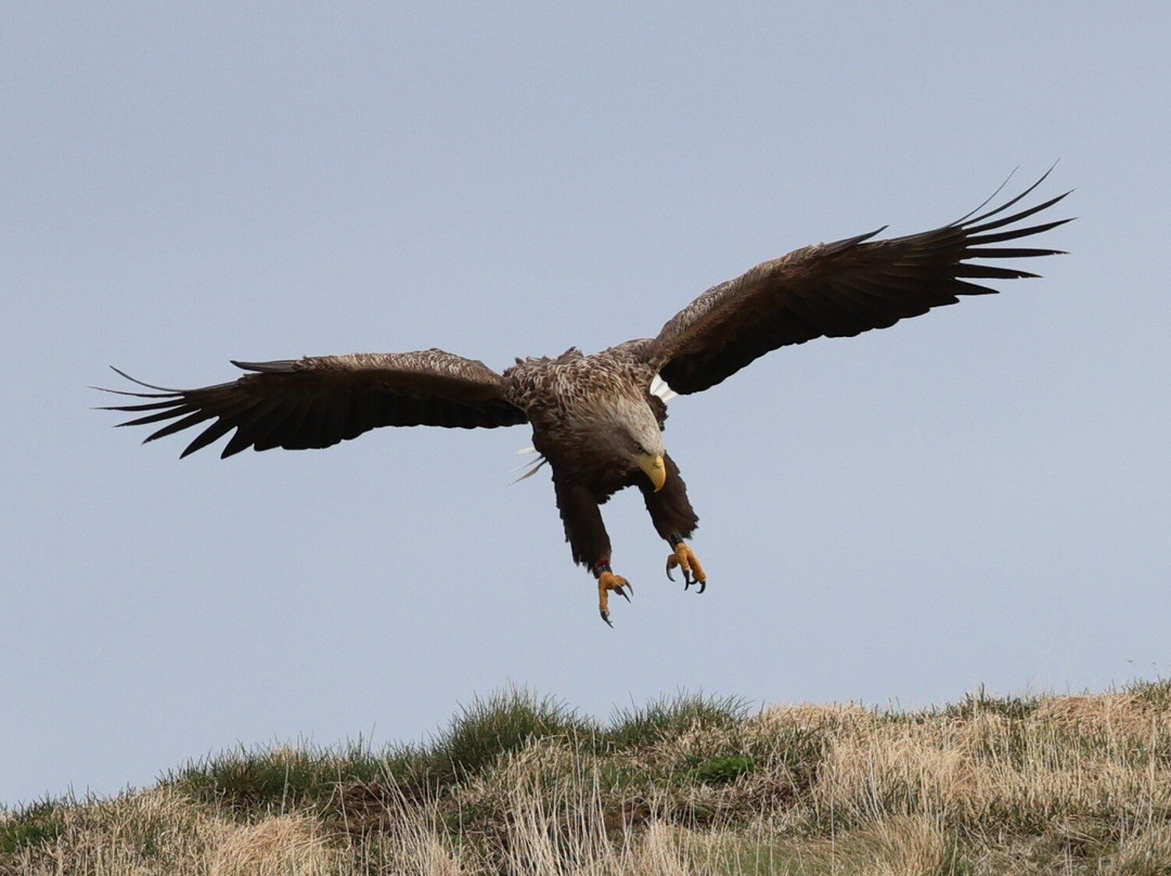 Ocean Adventures-Stykkisholmur必去景点