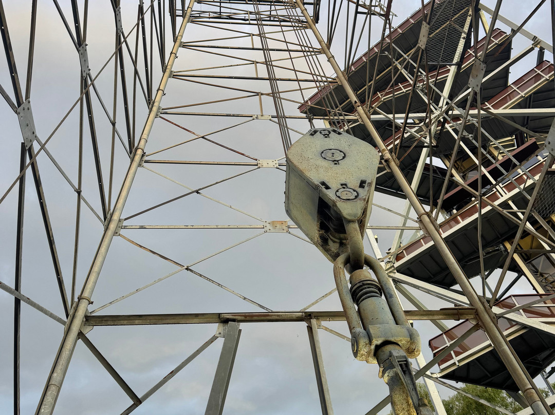 The Big Rig-Roma必去景点