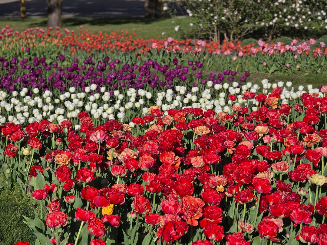 Staybridge Suites Holland By IHG主图