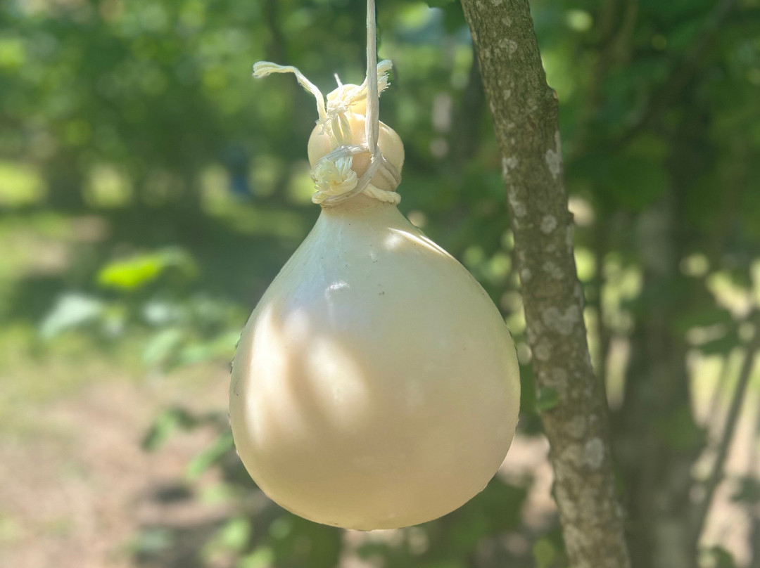 Azienda Agricola La Valle