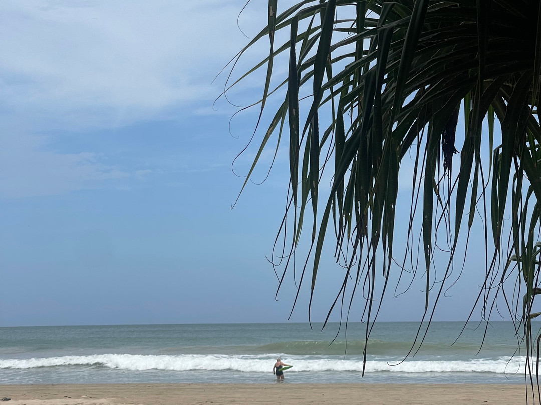 Taru Villas - Mawella Tangalle主图