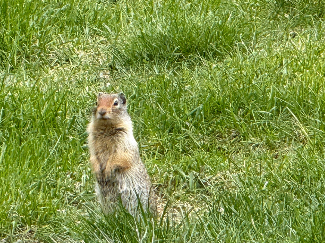 Sea Me Paddle Kayaking Tours-Lakeside必去景点