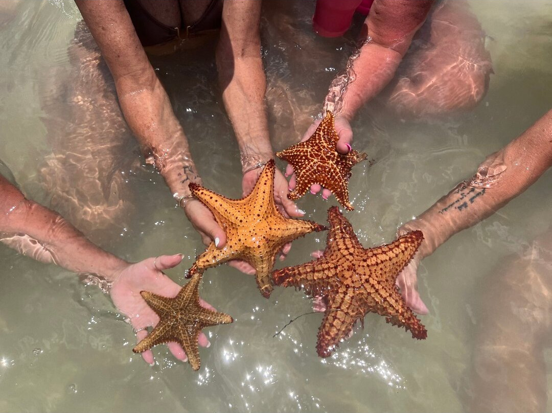 Sail With Friends Cayman-乔治城必去景点