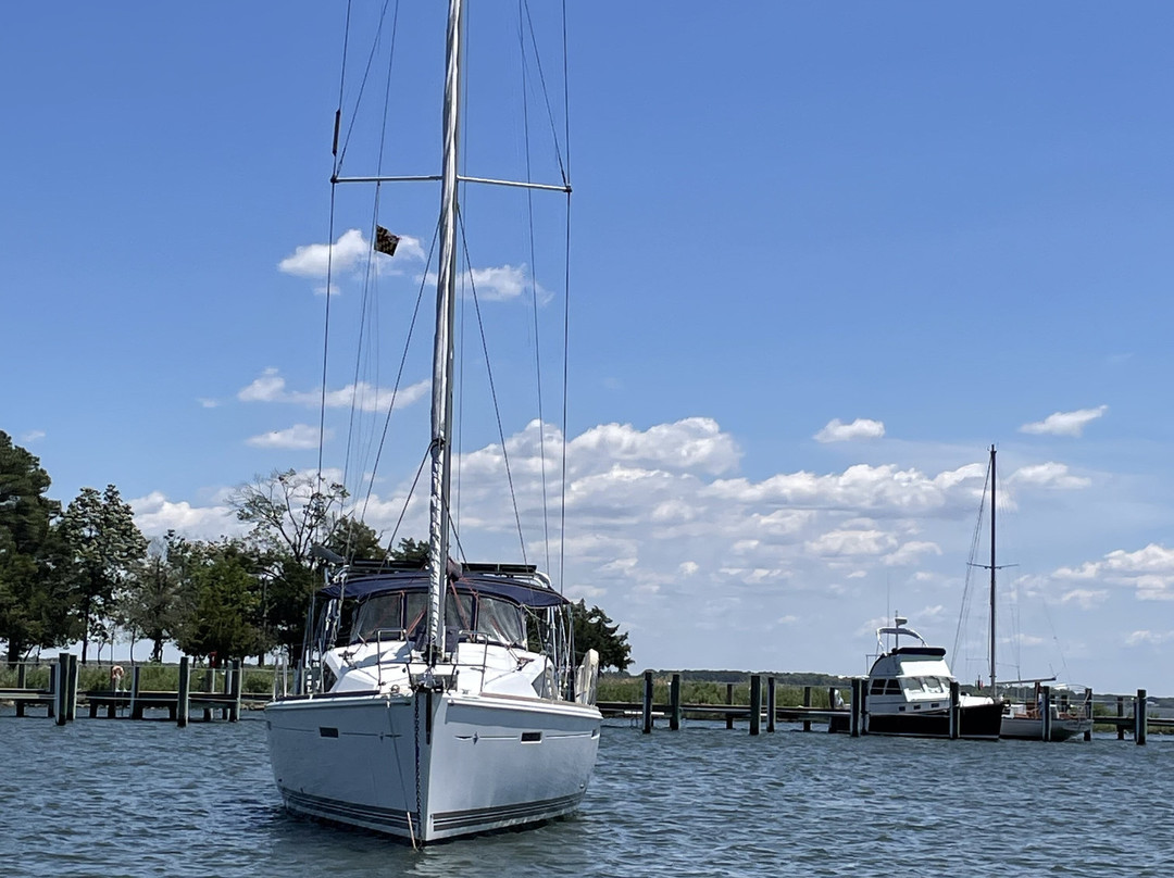 Sail Selina Ii景点图片