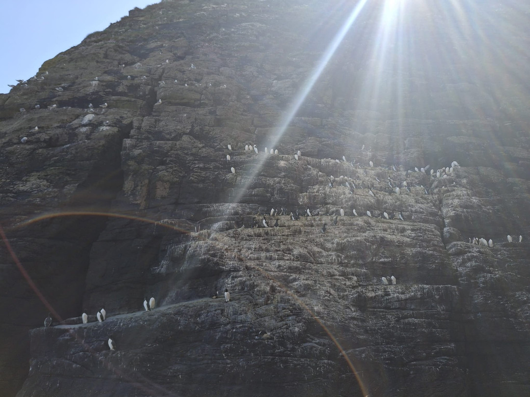 Valentia Island Sea Sports-Knightstown必去景点