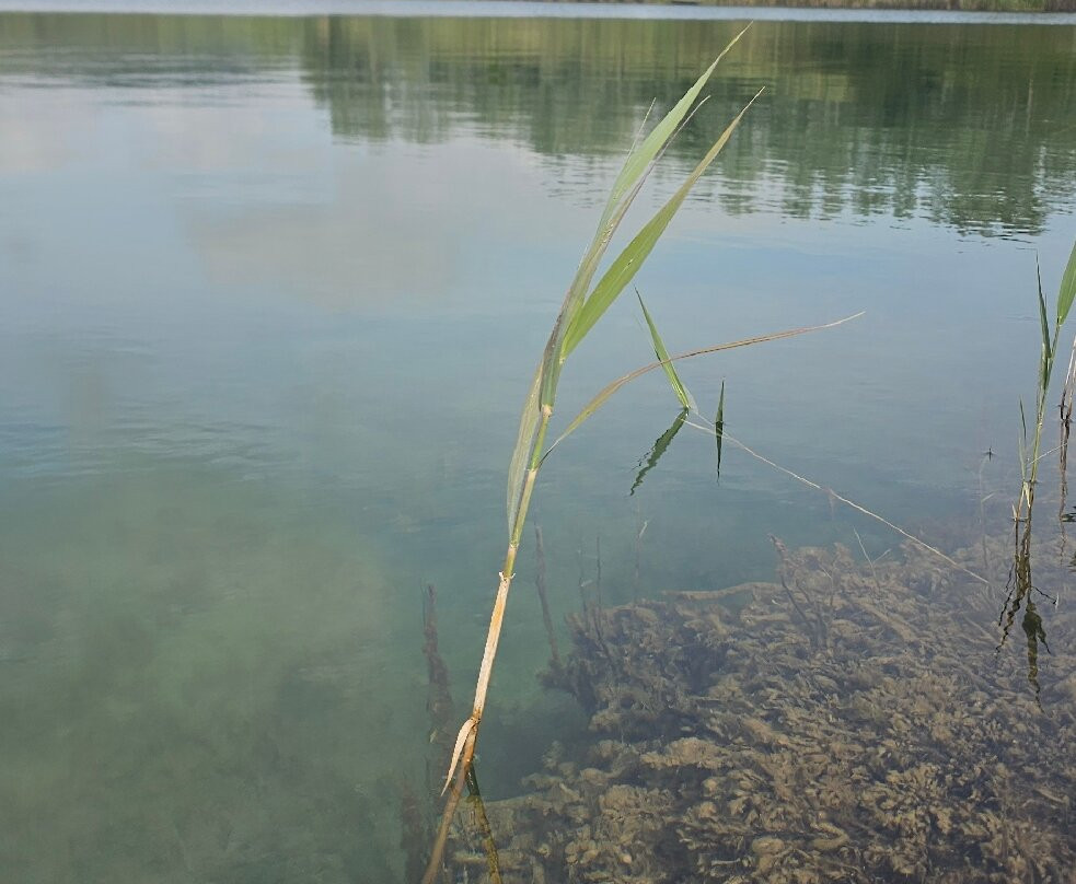 Lago dell'Accesa景点图片