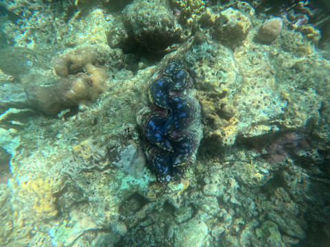 West Bali Discovery-佩母德兰必去景点