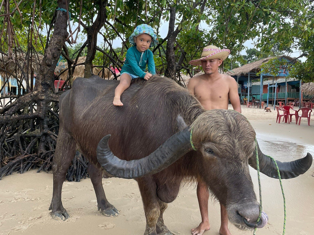 Barra Velha Beach-Soure必去景点