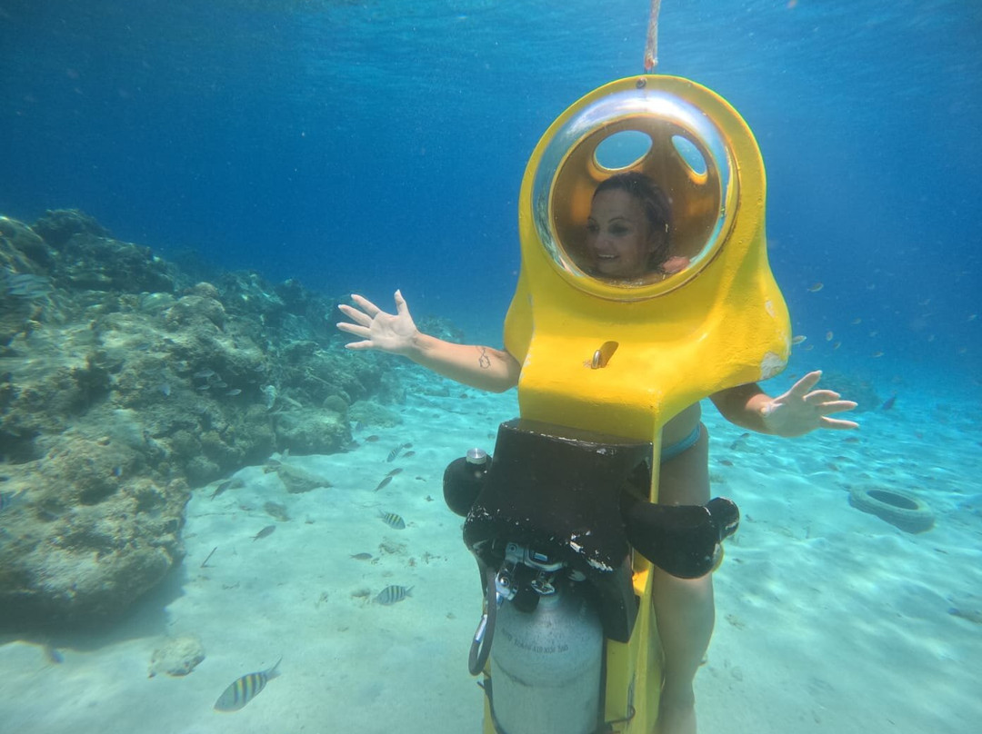 Aquafari-威廉斯塔德必去景点