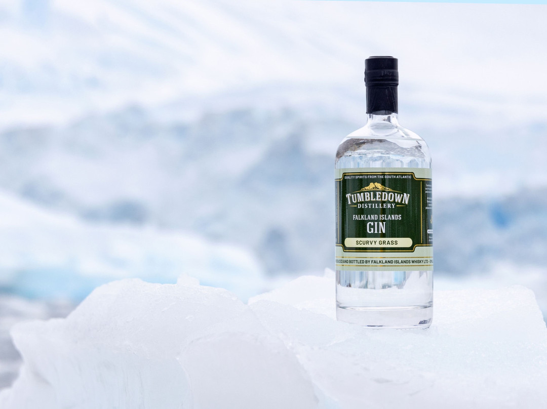 Falkland Island Spirits-Douglas必去景点
