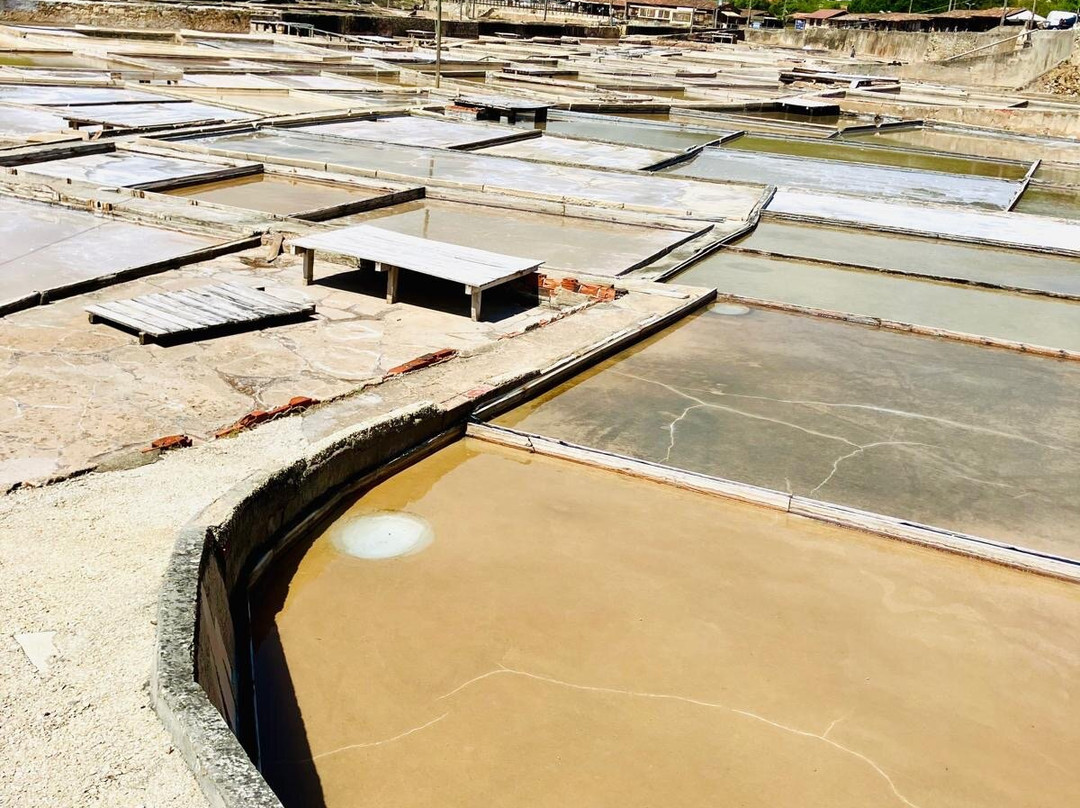 Salinas de Rio Maior景点图片