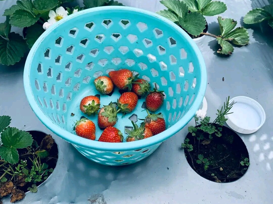 Sembalun Village-龙目岛必去景点