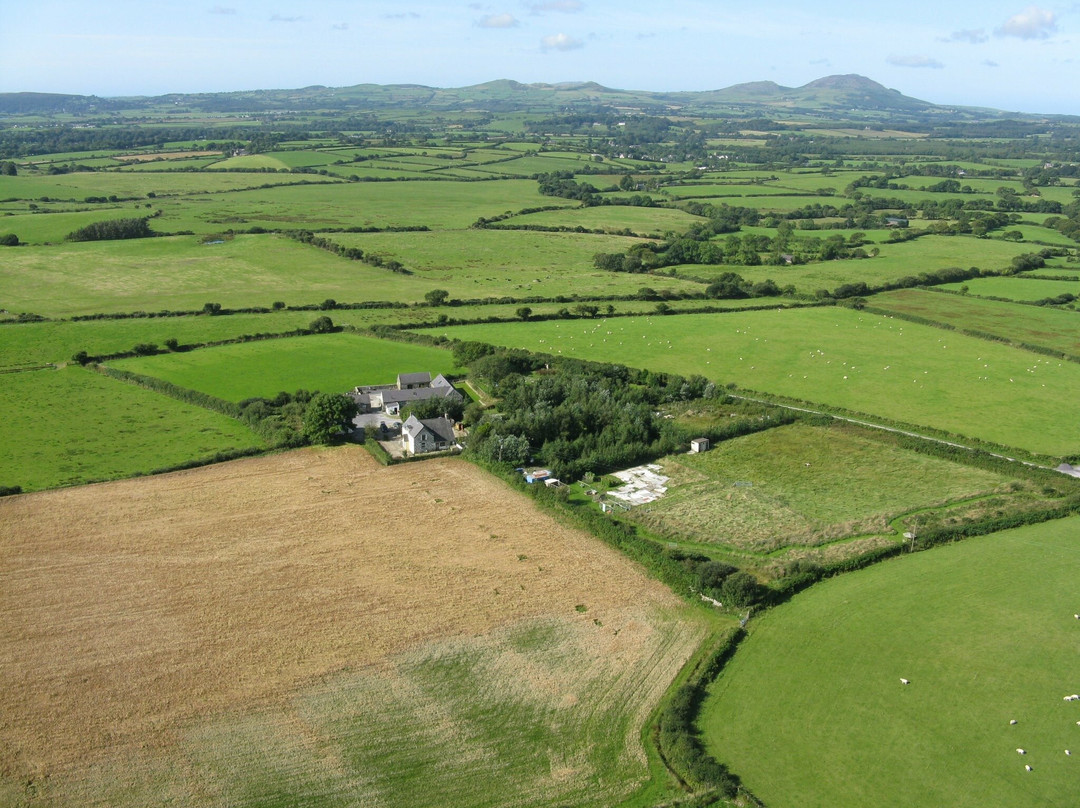Rhosydd Bach