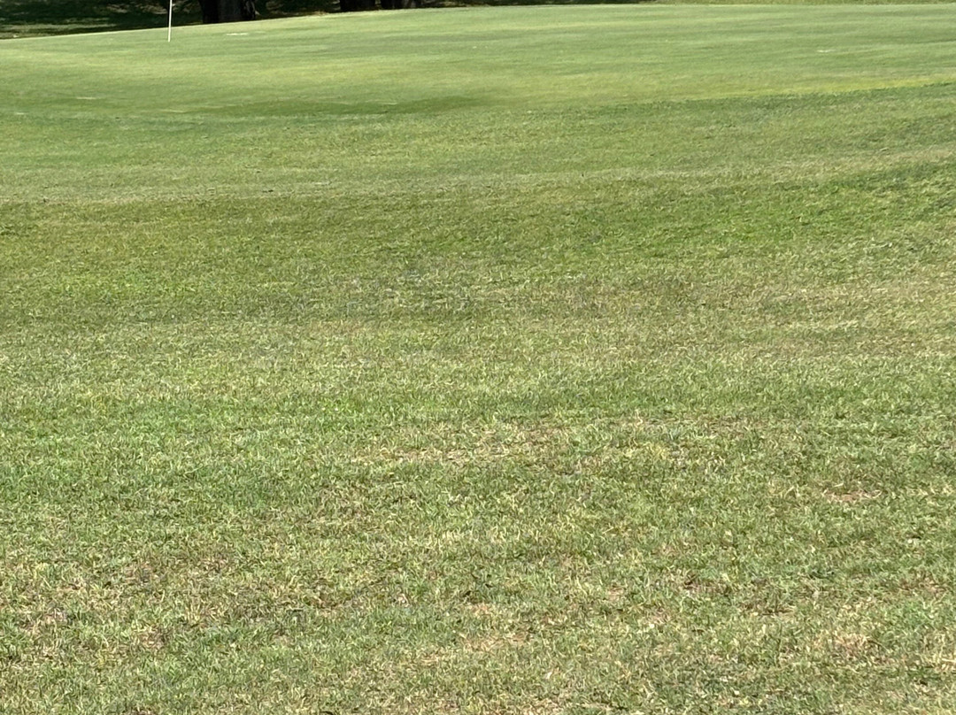 Lago Vista Golf Course-Lago Vista必去景点