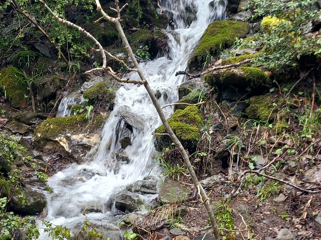 Hotel&Spa Real Villa Anayet主图