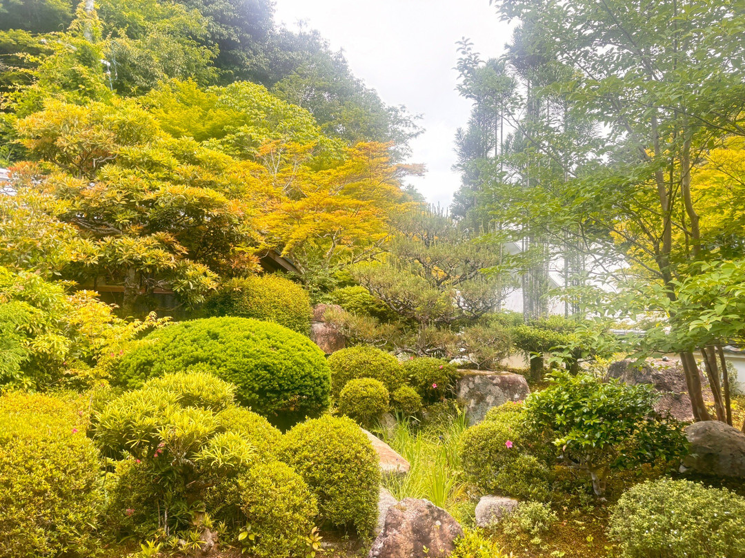 Jinzoji Temple-龟冈市必去景点