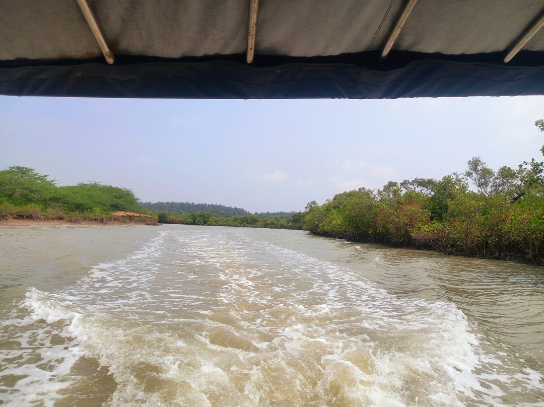 Bichitrapur Mangrove Reserve景点图片