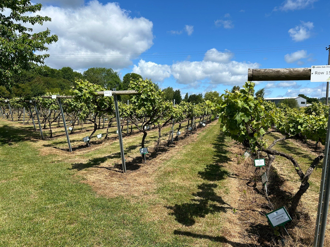 Little Oak Vineyard-奇平卡姆登必去景点