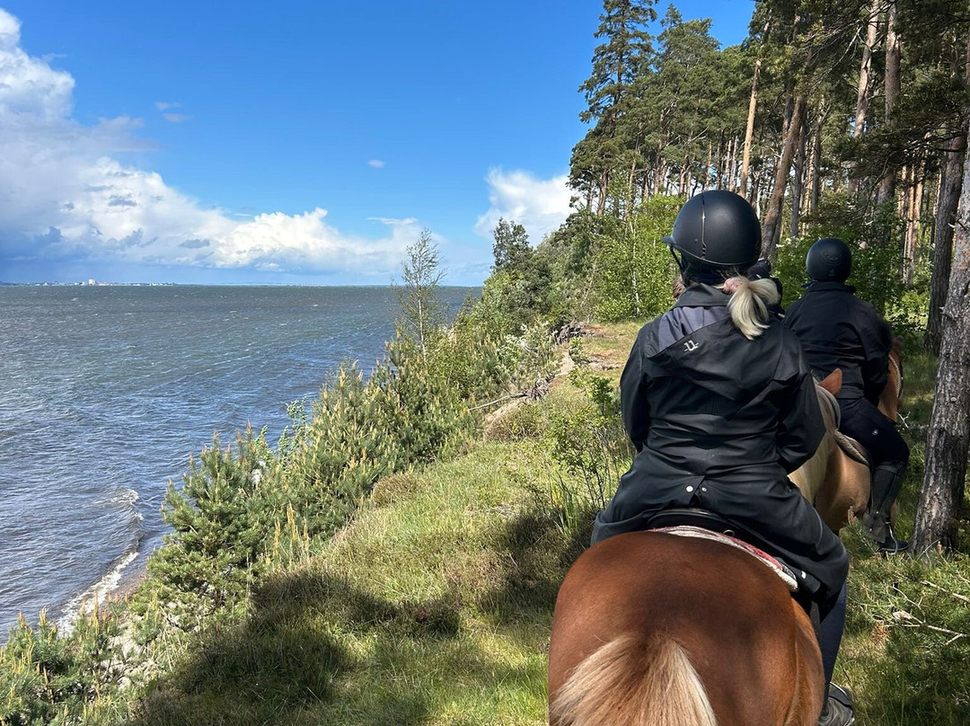 Kvarnbacka Islandshästar-Morbylanga必去景点