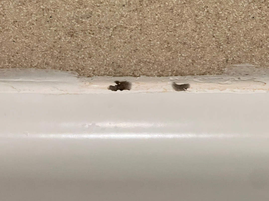 Holiday Inn Grand Rapids - Airport By IHG主图