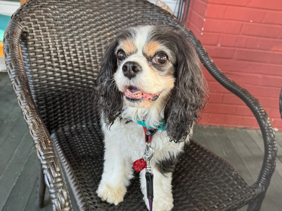 The Carriage House Bed and Breakfast主图