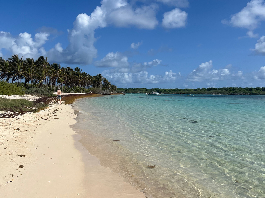 Sademar-Saint Francois必去景点