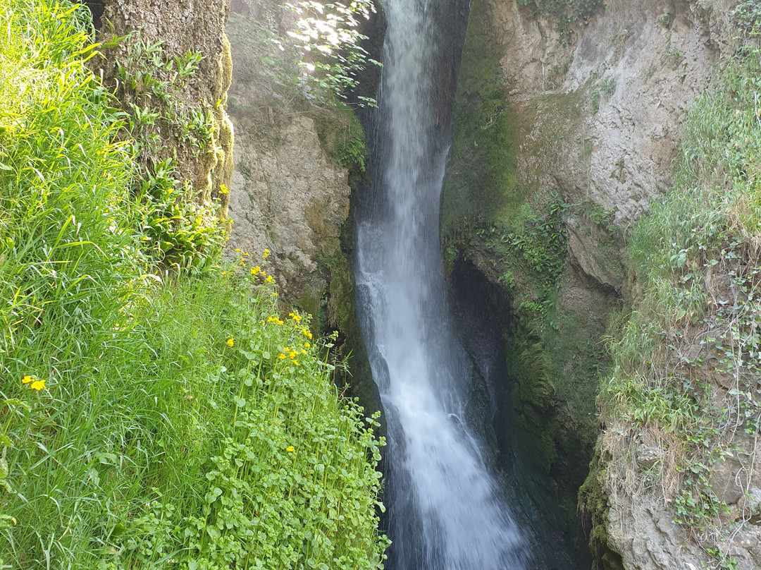 Dyserth Waterfall景点图片