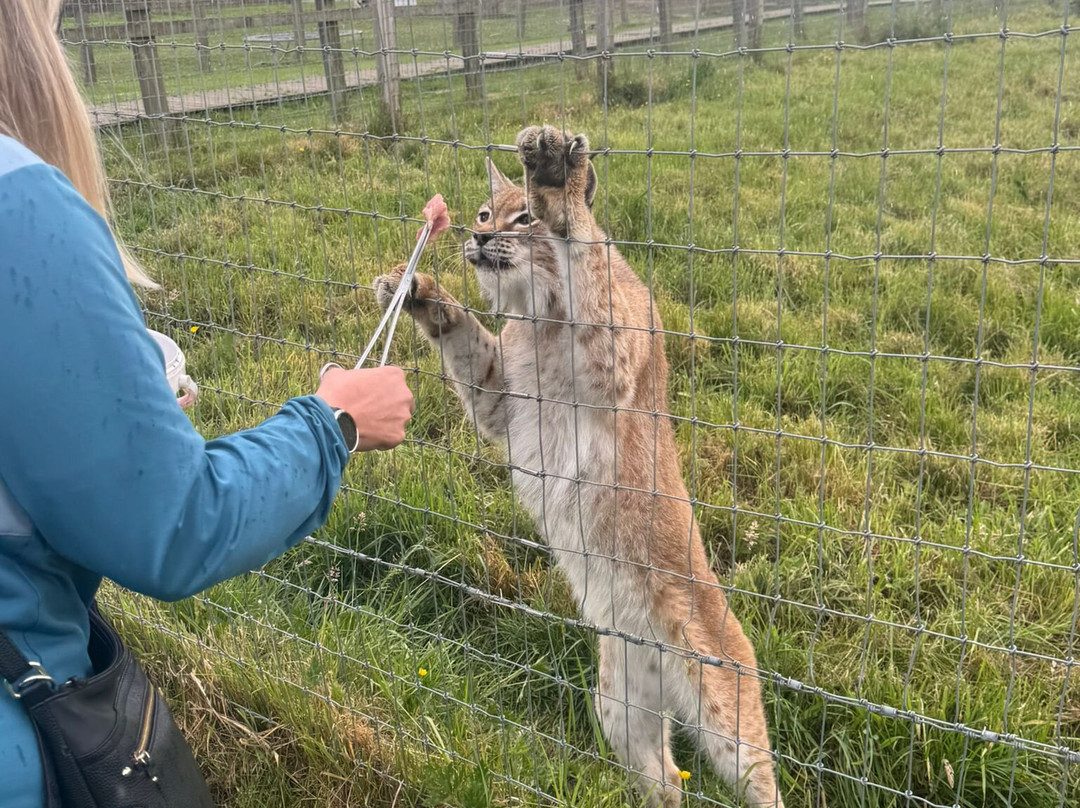 Ark Wildlife Park & Exotic Animal Sanctuary景点图片