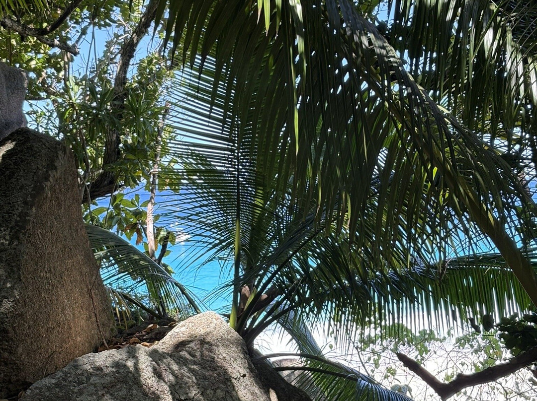 Anse Coco Beach-拉迪格岛必去景点