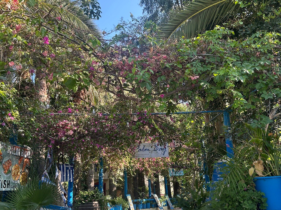Tuk Tuk Kreta Tours-马利亚必去景点