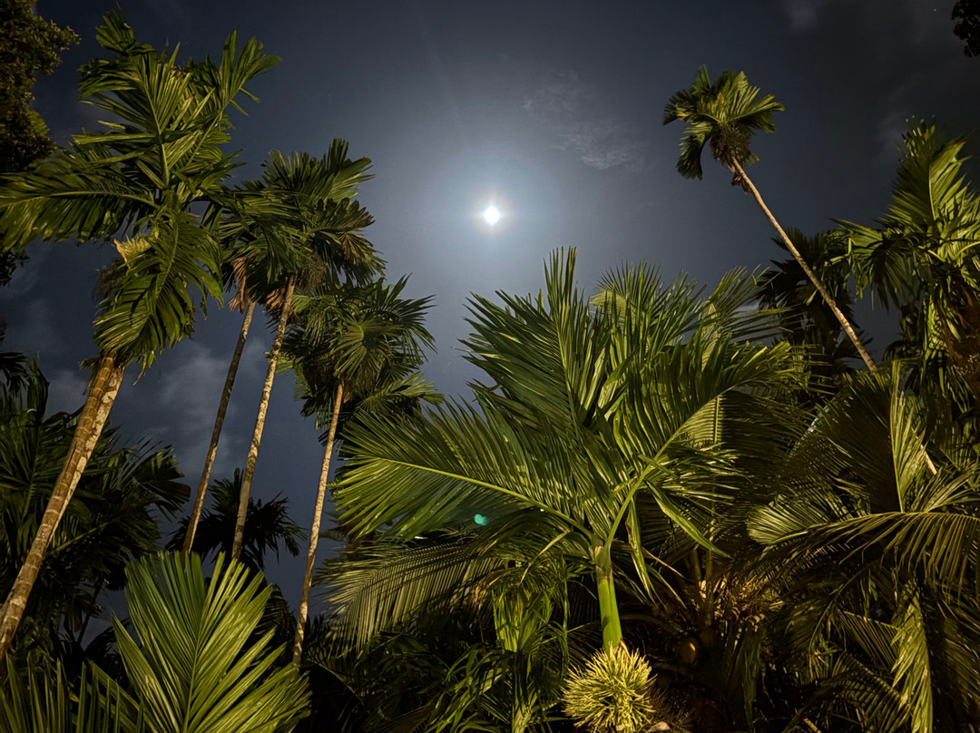 Stone Wood Premier Gokarna主图