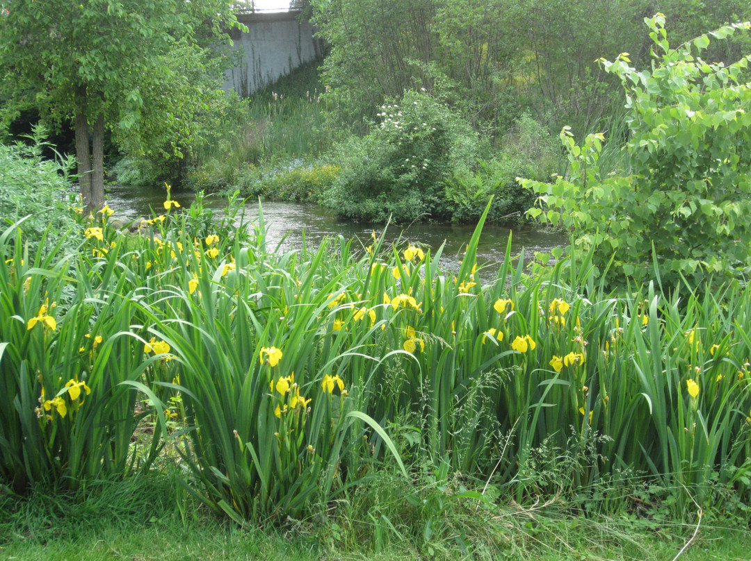Brewster Gardens-普利茅斯必去景点