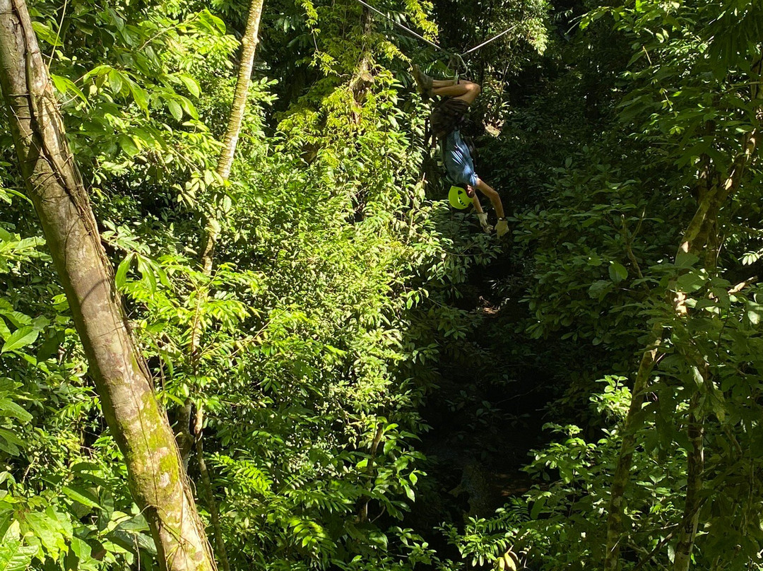 Sukia Park & Zip Line Tour景点图片