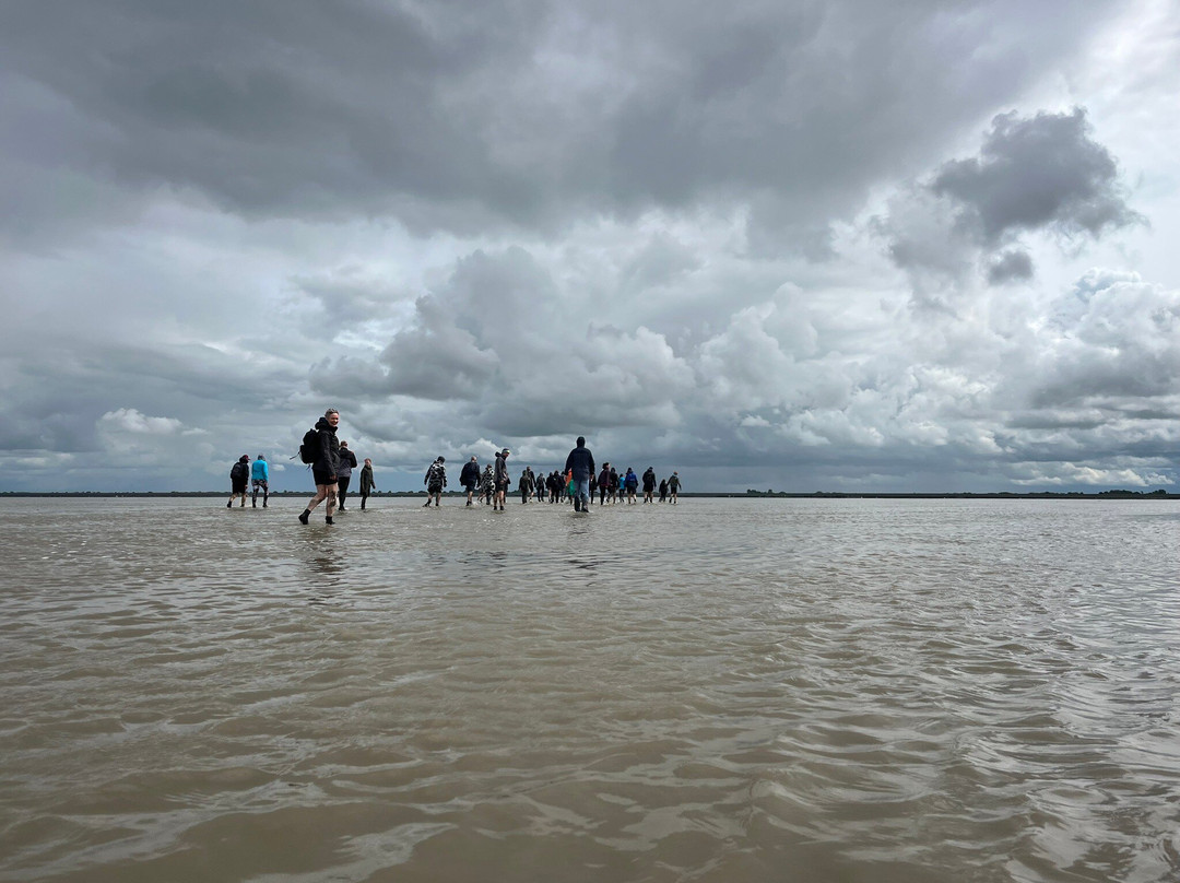 Wadlopen Pieterburen-Pieterburen必去景点