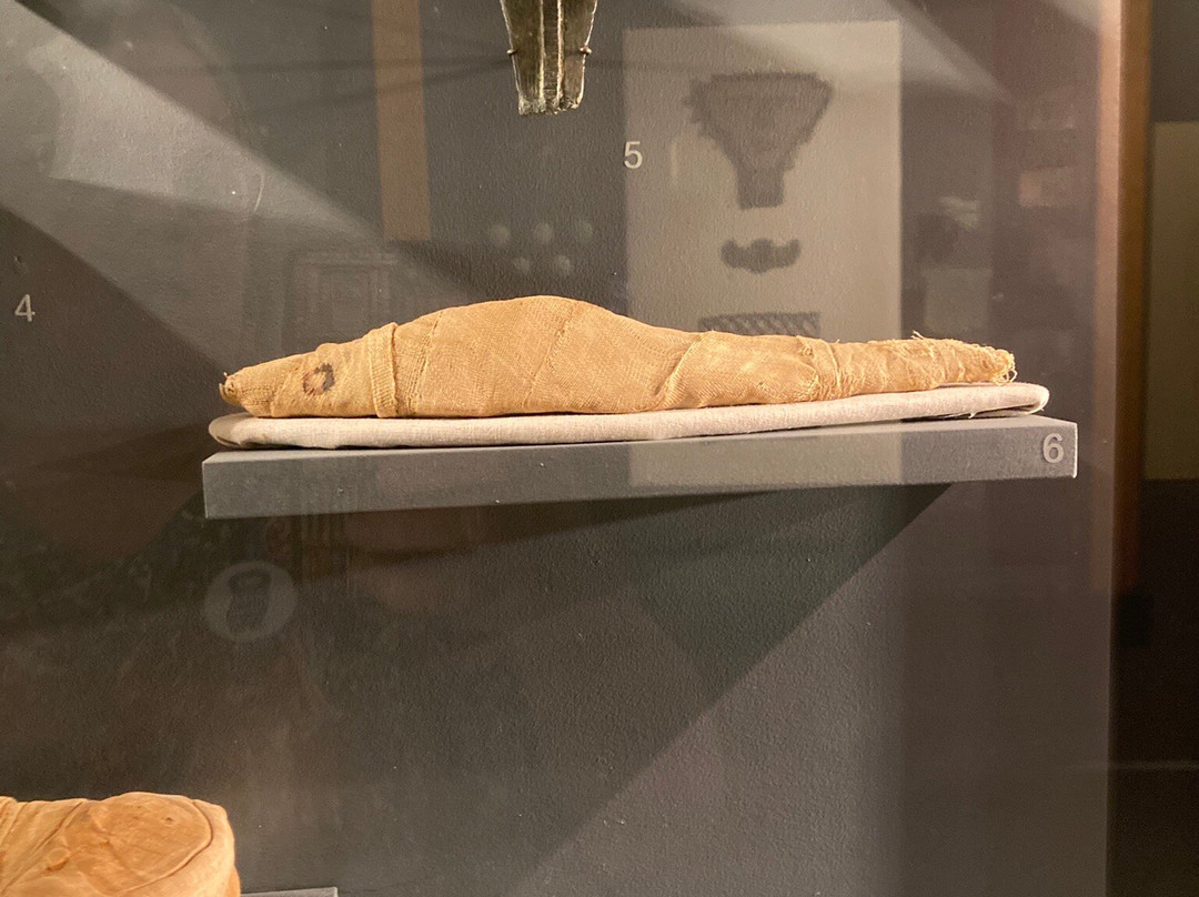 Michael C. Carlos Museum-亚特兰大必去景点