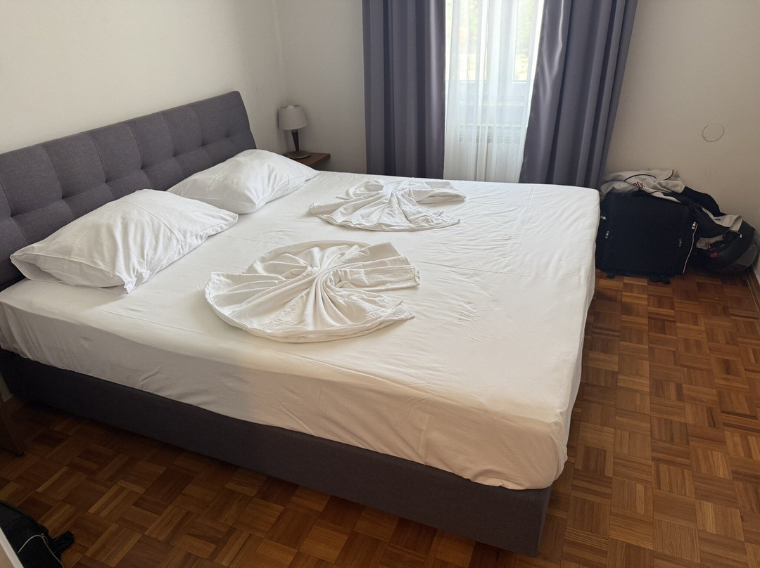 Hotel Minerva Medulin主图