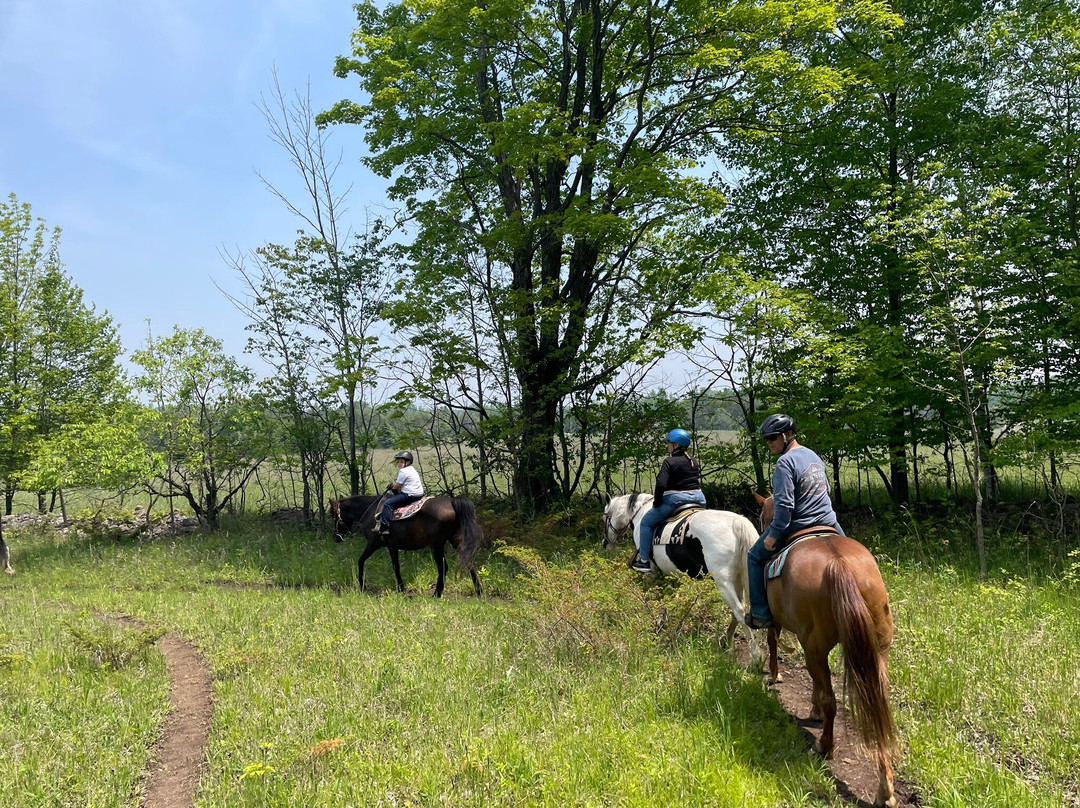 Kurtz Corral-斯特金贝必去景点