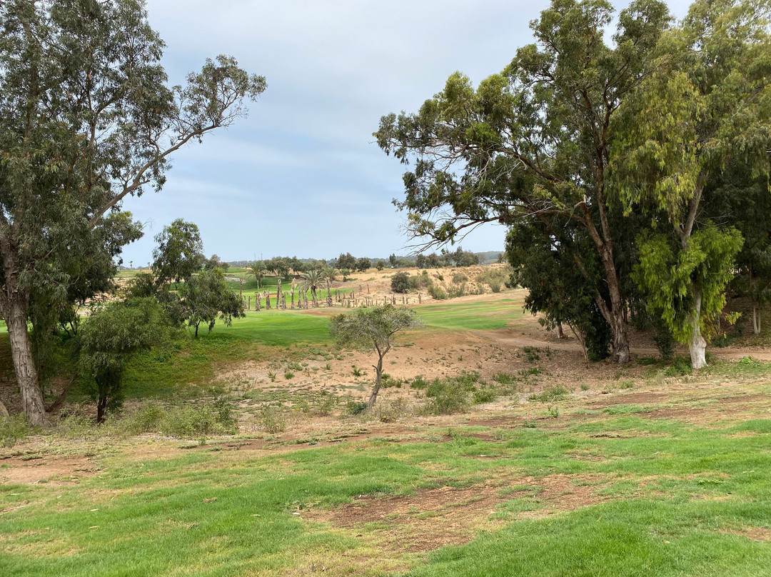 Golf de l'Ocean-阿加迪尔必去景点