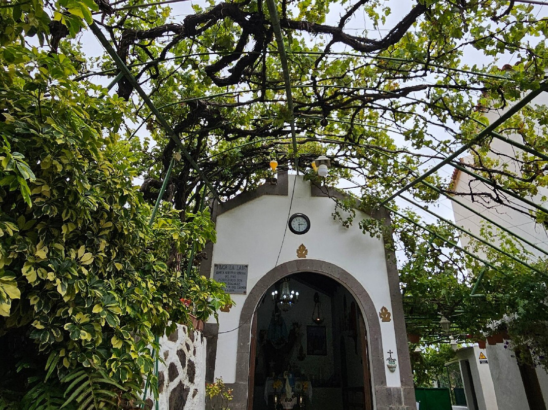 Bodega Los Berrazales-Agaete必去景点