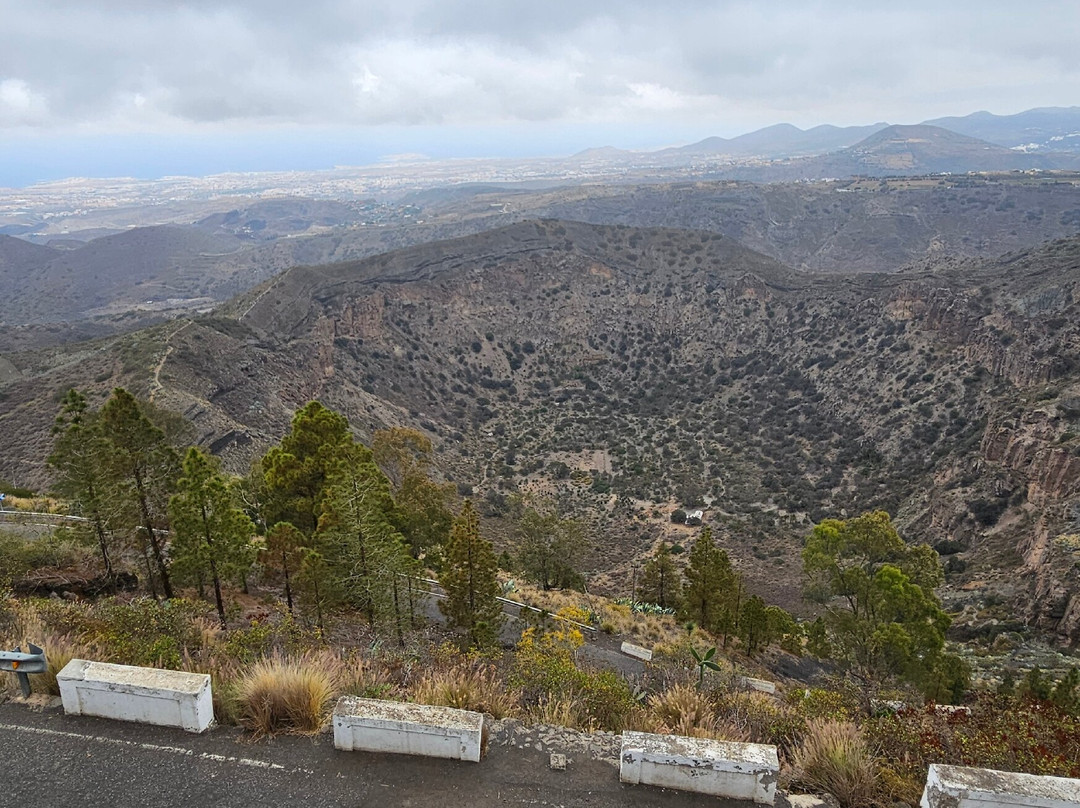 Mirador Pico de Bandama景点图片