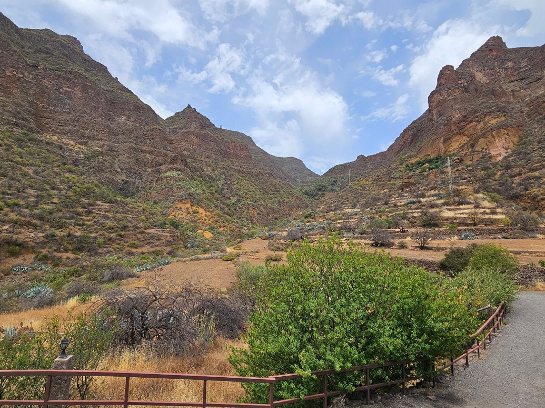 Barranco de Guayadeque-Ingenio必去景点