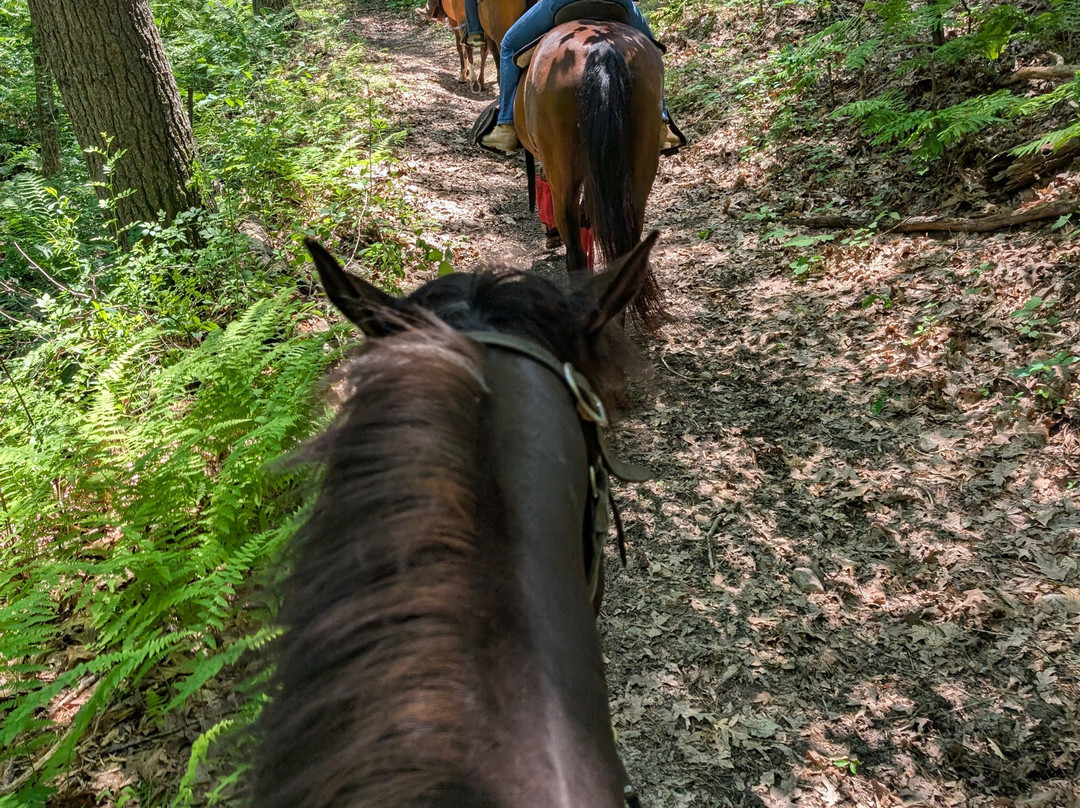 Bobby's Ranch-韦斯特福德必去景点