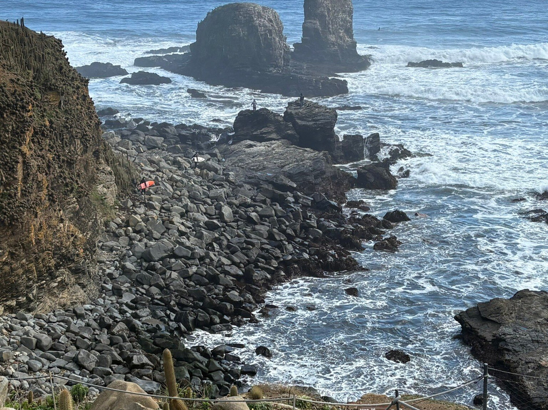 Punta De Lobos-皮钦勒姆必去景点