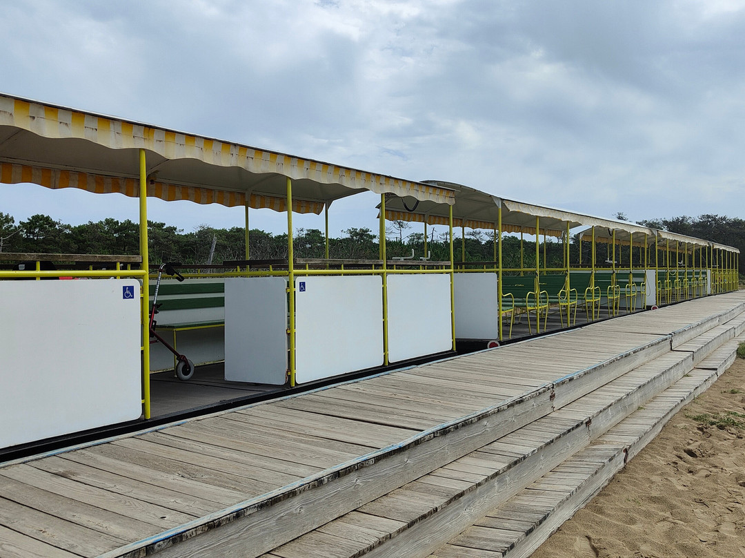 P'tit Train-Saint-Trojan-les-Bains必去景点