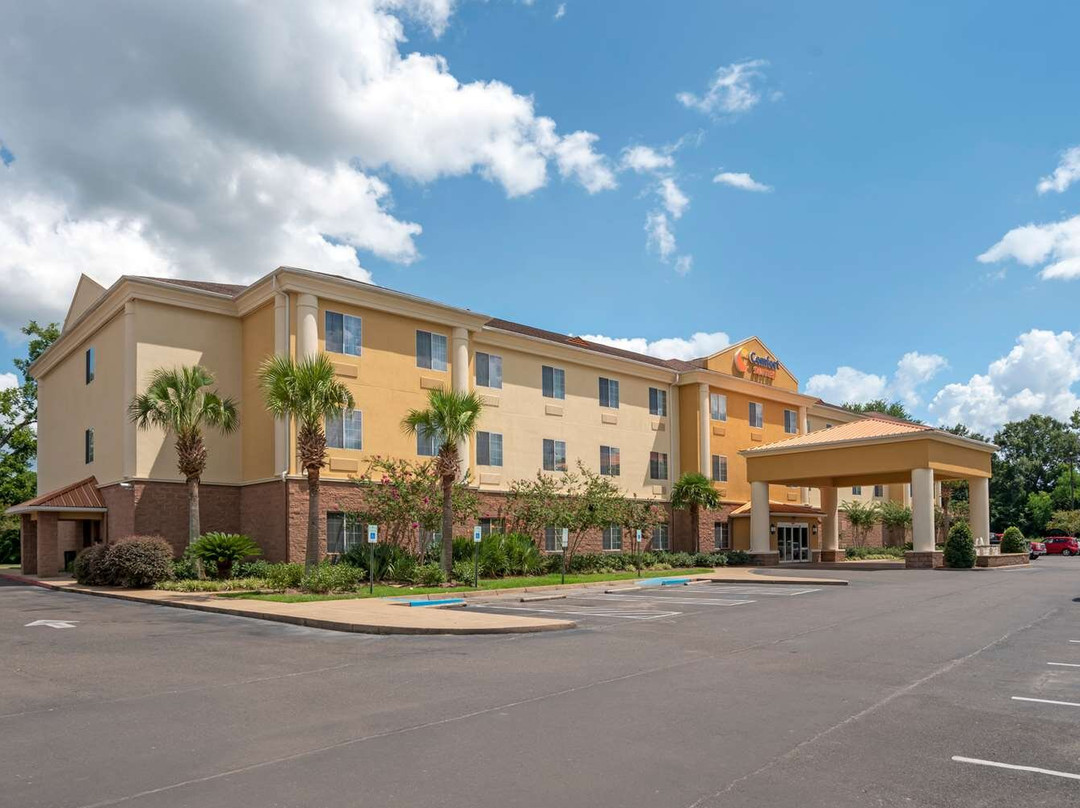 亚历山大城酒店住宿-Comfort Suites