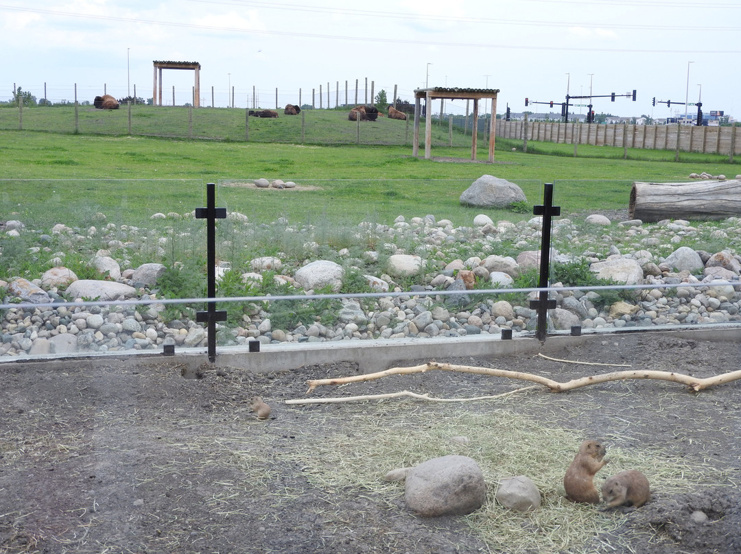 Red River Zoo-法戈必去景点