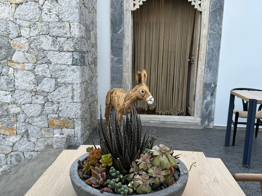 Saluti Da Stampalia Suites主图